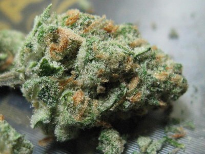 Buy Apollo 11 Marijuana Strain Online